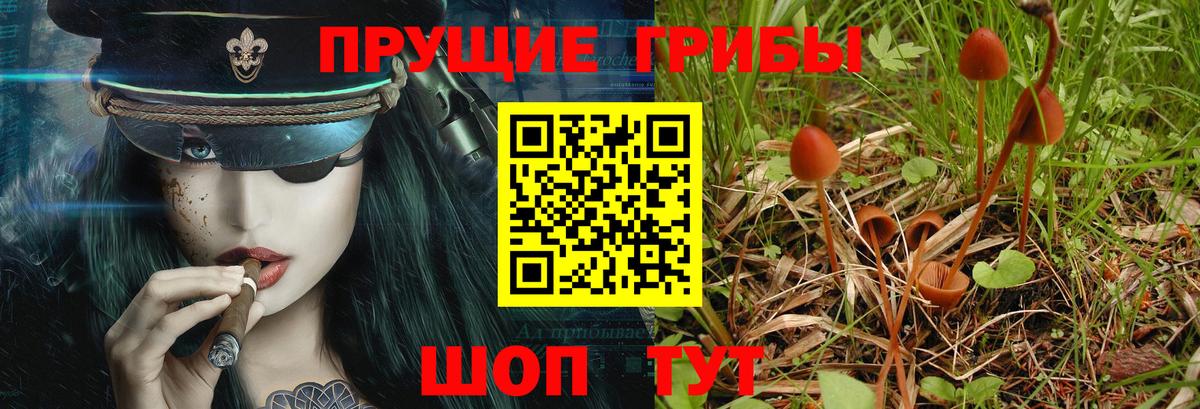 Псилоцибиновые грибы прущие грибы  Галлюциногенные грибы мицелий  Вход с VPN  Киселёвск 