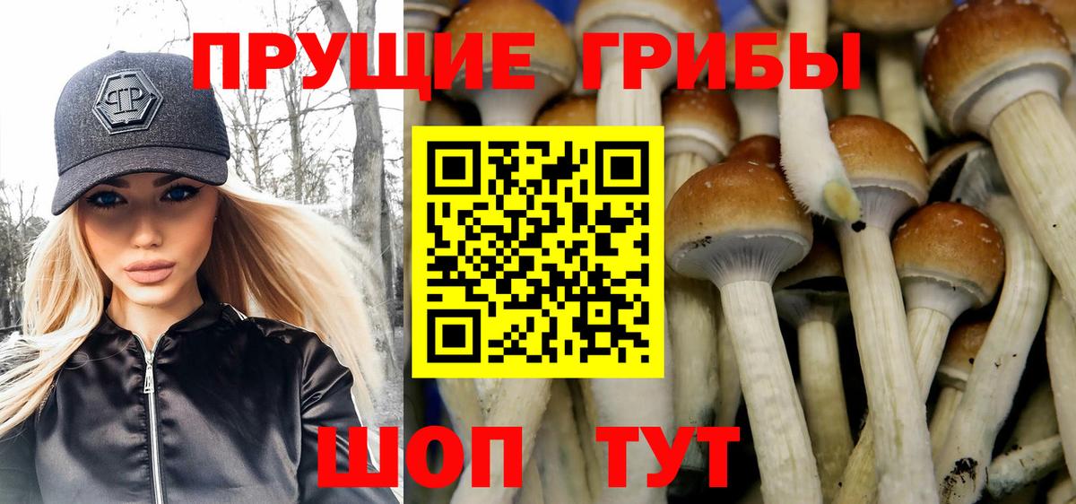 Мефедрон   Марихуана  Киселёвск  ГАШИШ  Вход с VPN  Лсд 25 